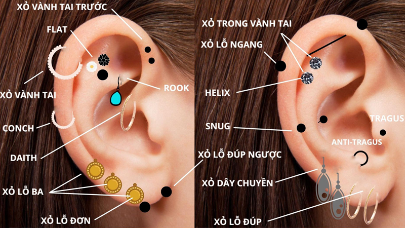 Các vị trí xỏ khuyên tai phổ biến nhất